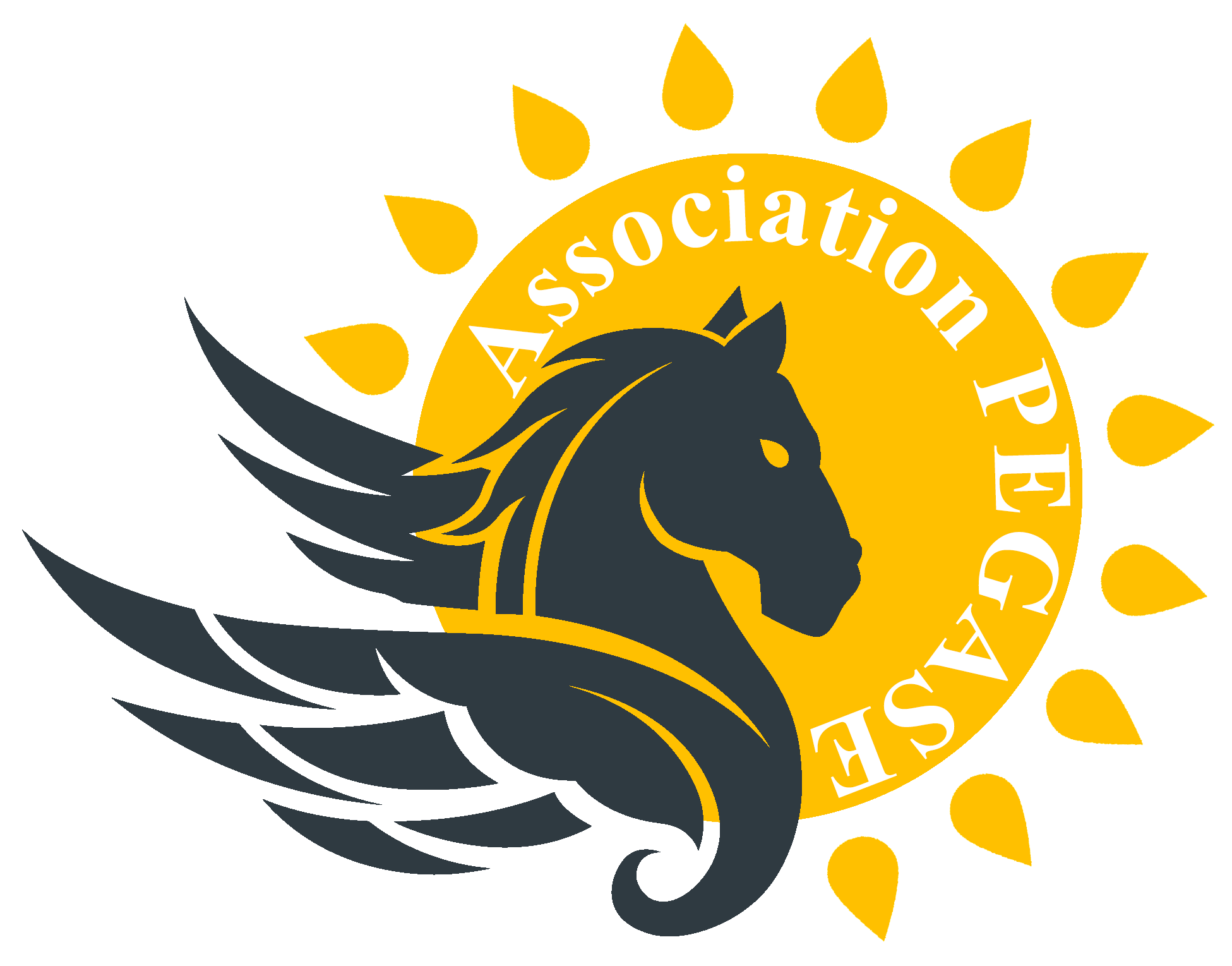 association Pégase
