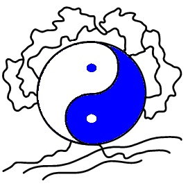 association Tai Chi