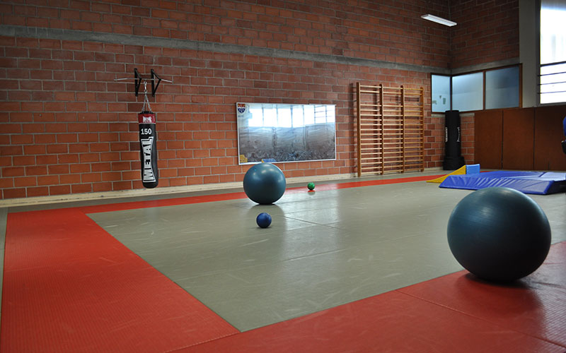 dojo