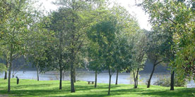 rubrique-cadre-de-vie